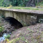 Stary betonowy mostek nad wąskim strumieniem w leśnym otoczeniu, porośnięty mchem i otoczony zaroślami